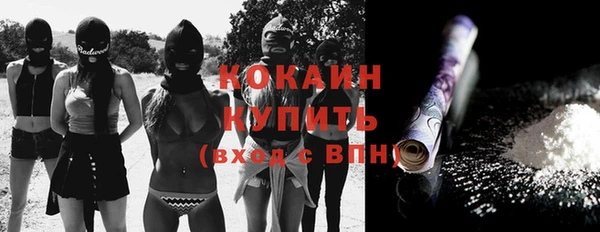 Альфа ПВП Аркадак