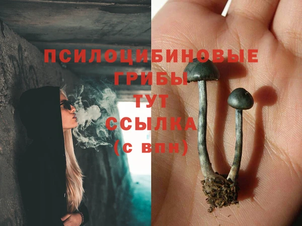 Альфа ПВП Аркадак