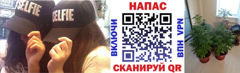 Марихуана MAZAR  блэк спрут онион  Балабаново  где купить наркоту 